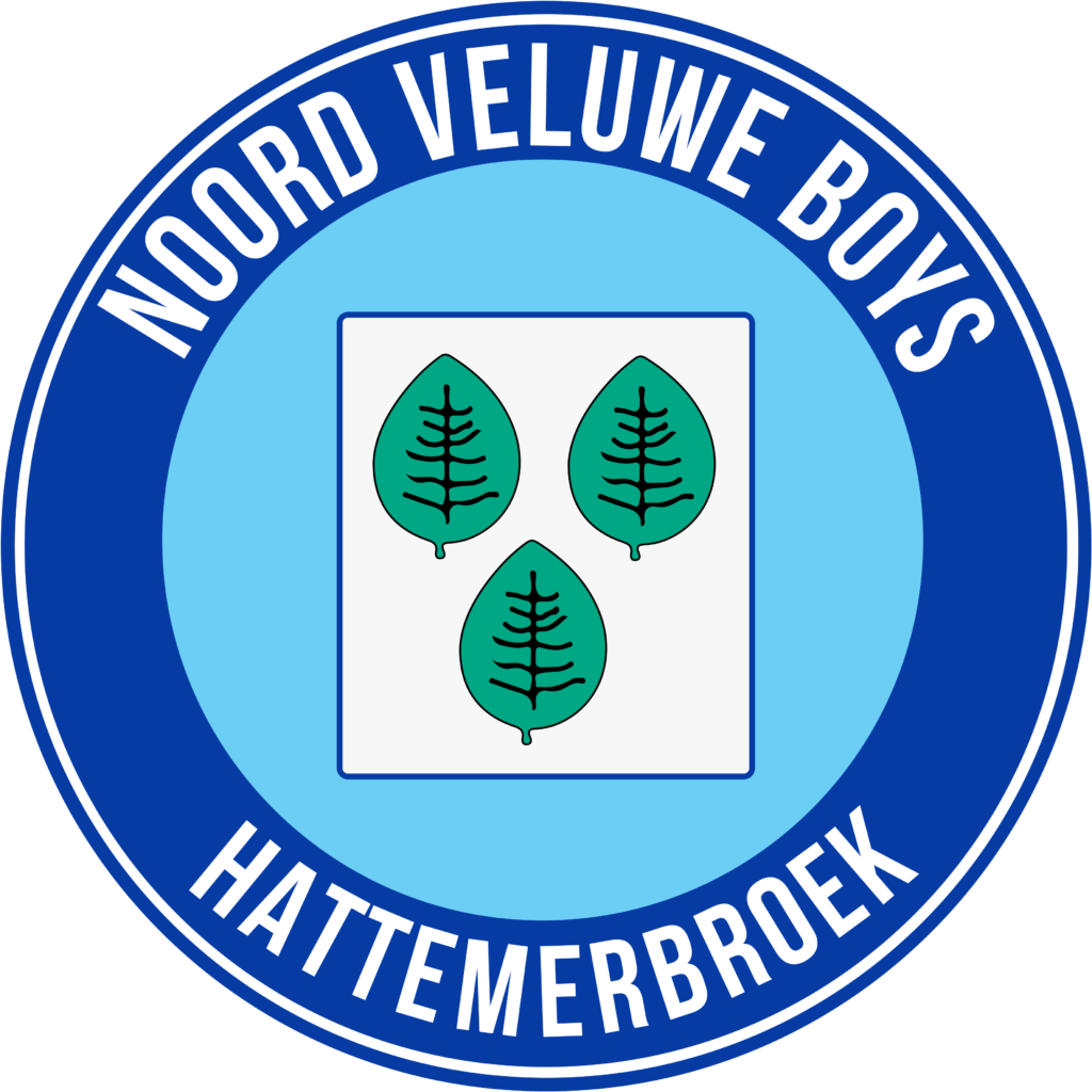 Logo Noord Veluwe Boys